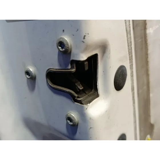 Puerta Delantera Izquierda para Renault Trafic Caja Cerrada (Ab 4.01)