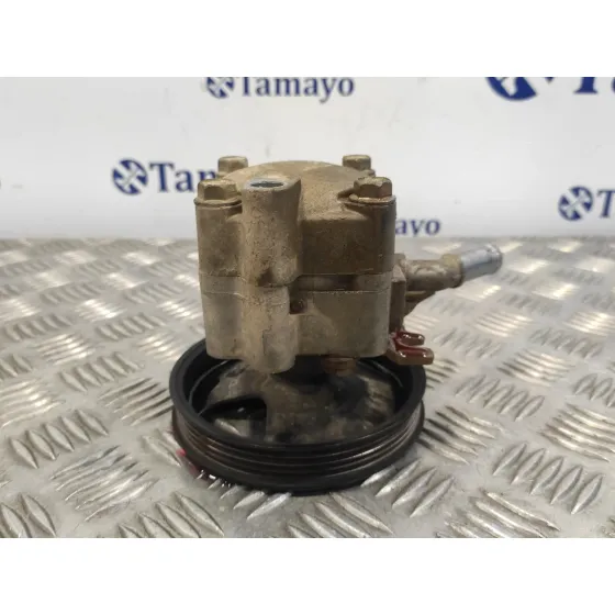 Bomba Direccion para Nissan Almera (N16/E)