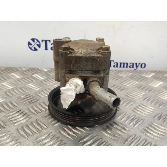 Bomba Direccion para Nissan Almera (N16/E)
