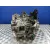 Caja Cambios para Toyota Auris