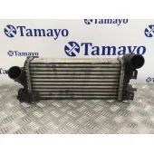 Intercooler para Ford C-Max (Ceu)