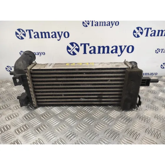 Intercooler para Ford C-Max (Ceu)