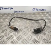 Sonda Lambda para Ford C-Max (Ceu)