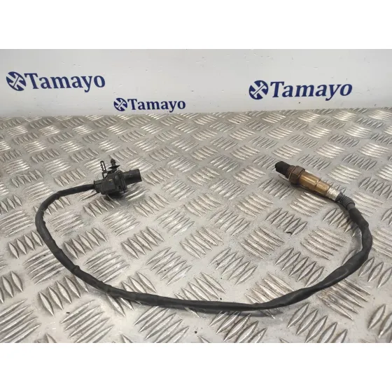 Sonda Lambda para Ford C-Max (Ceu)