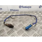 Sonda Lambda para Ford C-Max (Ceu)