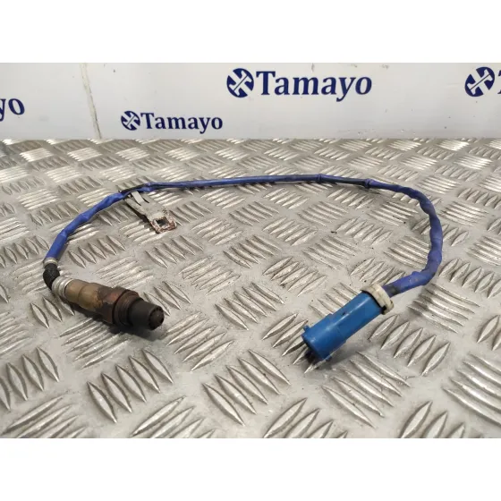 Sonda Lambda para Ford C-Max (Ceu)
