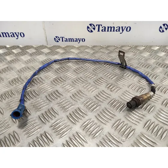 Sonda Lambda para Ford C-Max (Ceu)