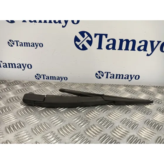 Brazo Limpia Trasero para Dacia Duster