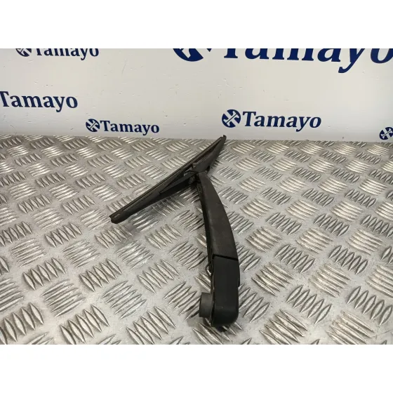Brazo Limpia Trasero para Dacia Duster