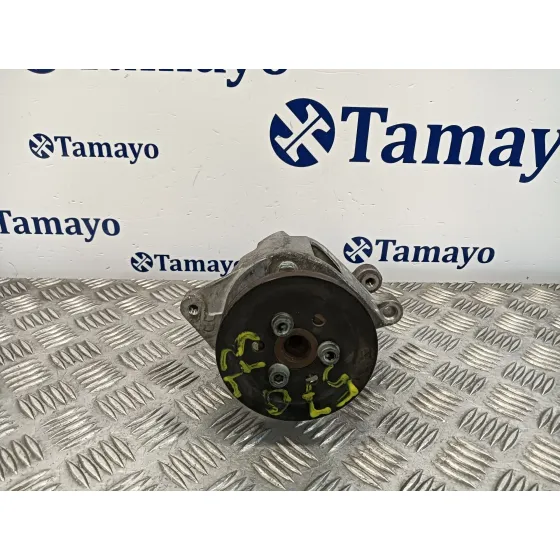 Bomba Direccion para Seat Inca (6K9)