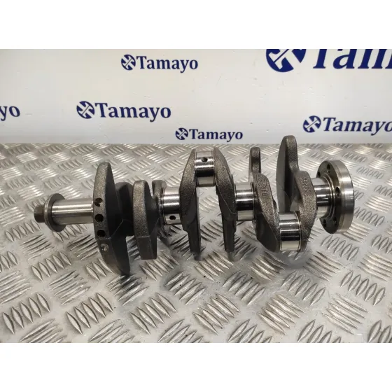 Ciguenal para Ford C-Max (Ceu)