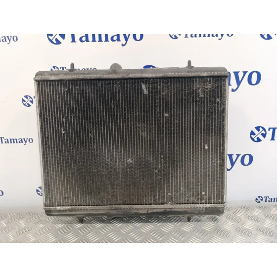 Radiador Agua para Peugeot Partner Kombi