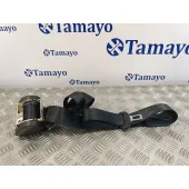 Cinturon Seguridad Trasero Derecho para Seat Leon (5F1)