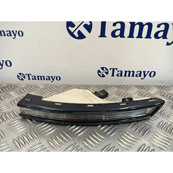 Piloto Delantero Izquierdo para Volkswagen Passat Variant (3C5)