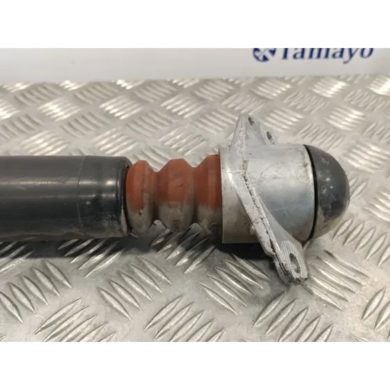 Amortiguador Trasero Izquierdo para Audi Tt (8N3/8N9)