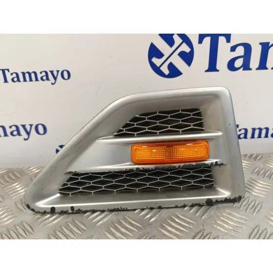 Moldura Exterior Delantera Derecha para Land Rover Freelander (Lr2)