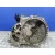Caja Cambios para Ford Focus Turnier (Cb4)