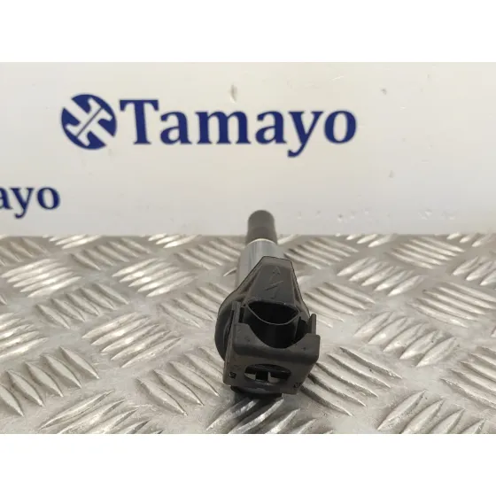 Bobina Encendido para Bmw Mini (R56)