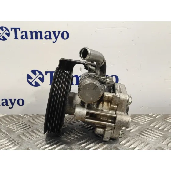 Bomba Direccion para Mitsubishi Grandis (Na0W)