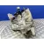 Caja Cambios para Ford Focus Lim.