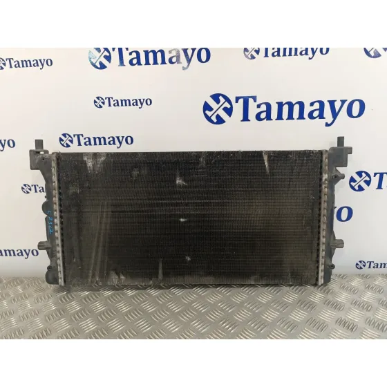 Radiador Agua para Seat Ibiza (6J5)
