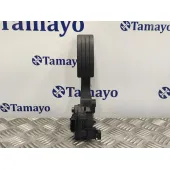 Pedal Acelerador para Renault Clio Iv