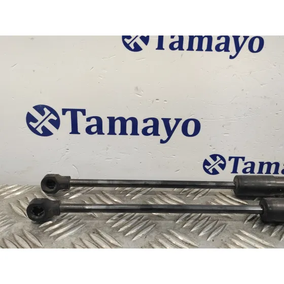 Amortiguadores Maletero / Porton para Renault Clio Iv