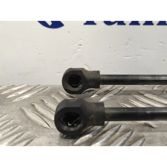 Amortiguadores Maletero / Porton para Renault Clio Iv