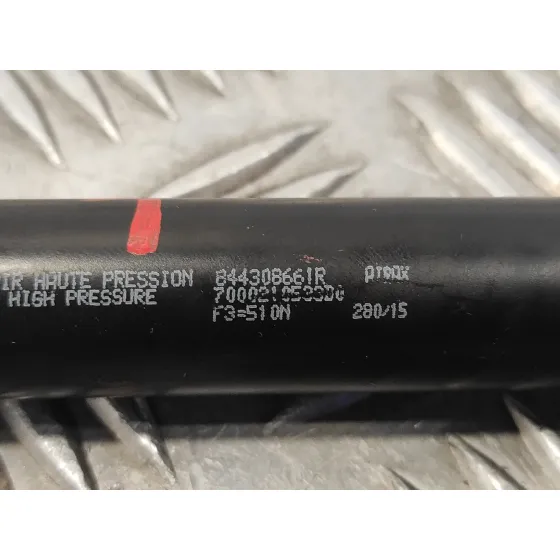 Amortiguadores Maletero / Porton para Renault Clio Iv