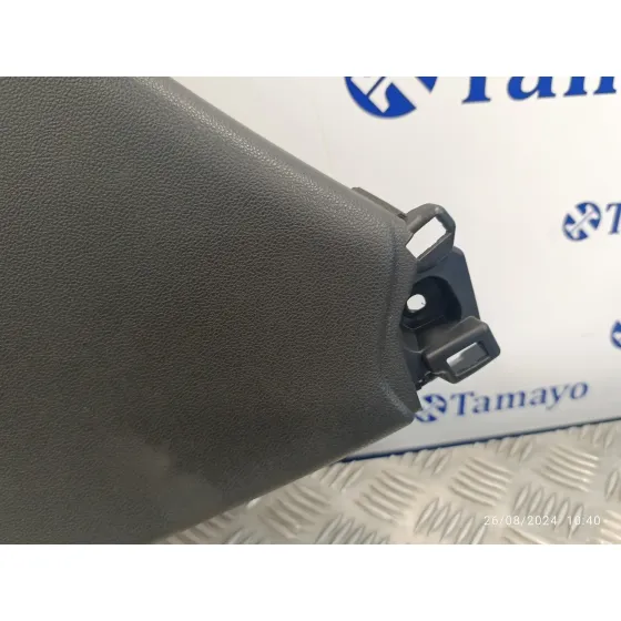 Guarnecido Puerta Trasera Derecha para Renault Clio Iv