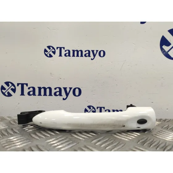 Maneta Exterior Delantera Izquierda para Renault Clio Iv