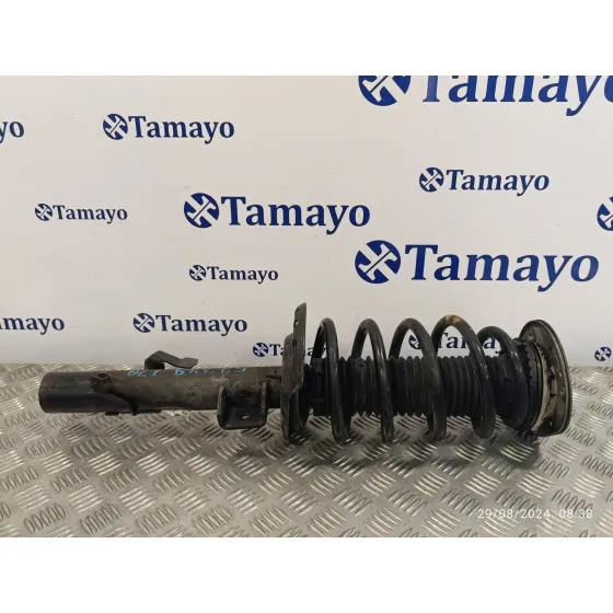 Amortiguador Delantero Izquierdo para Land Rover Freelander (Lr2)