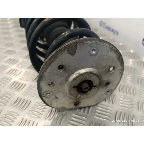 Amortiguador Delantero Izquierdo para Land Rover Freelander (Lr2)