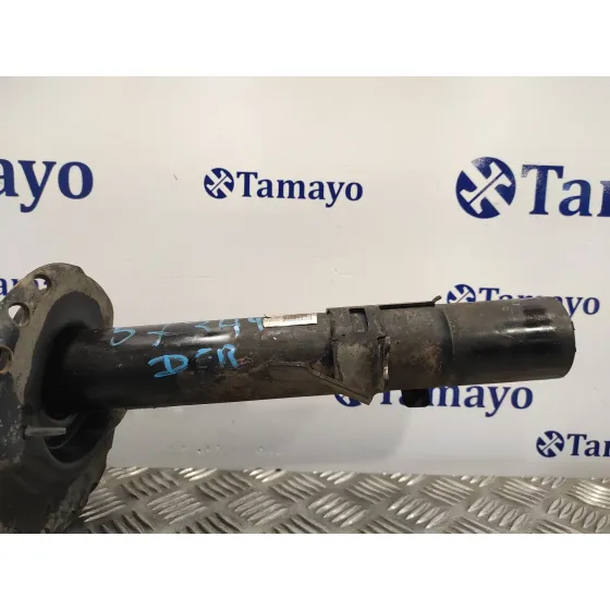 Amortiguador Delantero Derecho para Land Rover Freelander (Lr2)