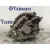Alternador para Nissan Almera (N16/E)