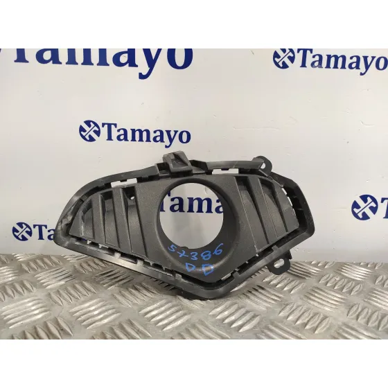 Molduras Delanteras para Toyota Rav 4 V (_A5_, _H5_)