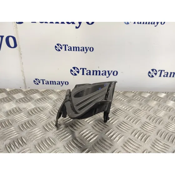 Molduras Delanteras para Toyota Rav 4 V (_A5_, _H5_)