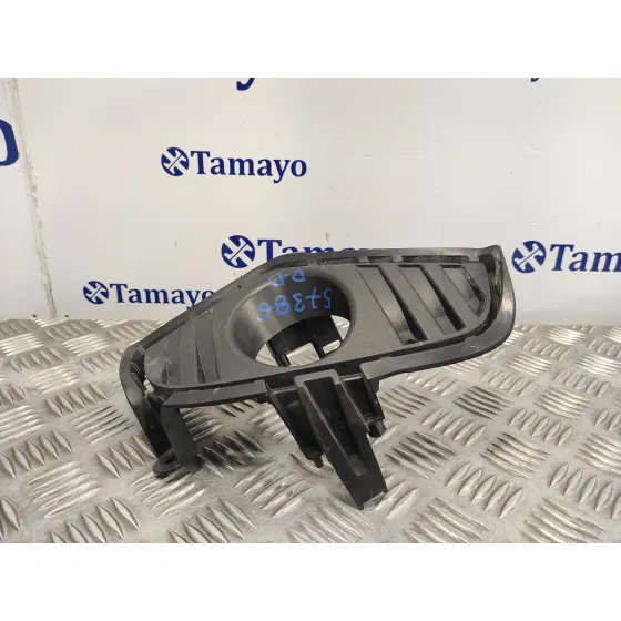 Molduras Delanteras para Toyota Rav 4 V (_A5_, _H5_)