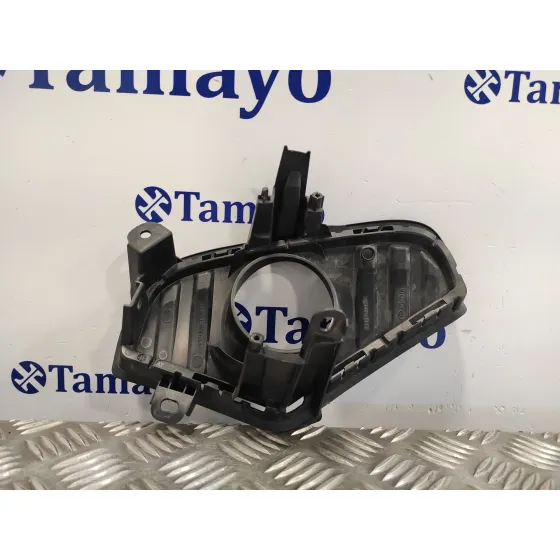 Molduras Delanteras para Toyota Rav 4 V (_A5_, _H5_)