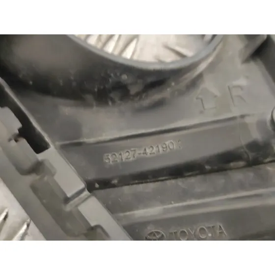 Molduras Delanteras para Toyota Rav 4 V (_A5_, _H5_)
