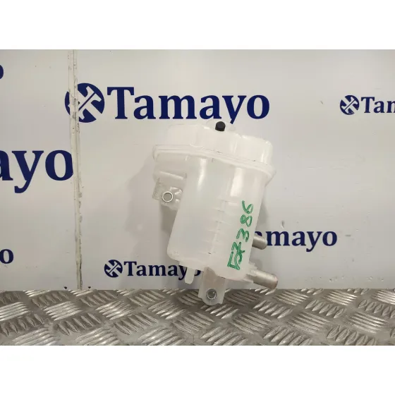 Deposito Expansion para Toyota Rav 4 V (_A5_, _H5_)