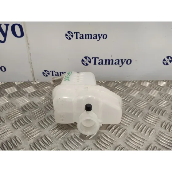 Deposito Expansion para Toyota Rav 4 V (_A5_, _H5_)