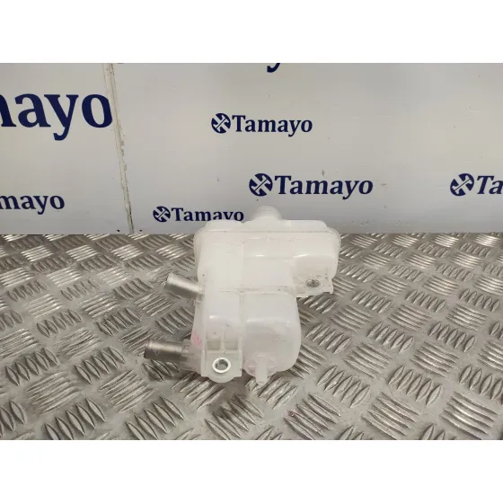 Deposito Expansion para Toyota Rav 4 V (_A5_, _H5_)