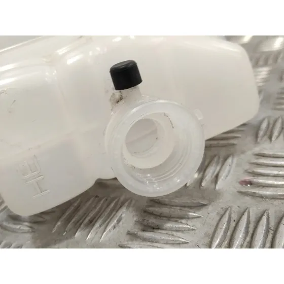 Deposito Expansion para Toyota Rav 4 V (_A5_, _H5_)
