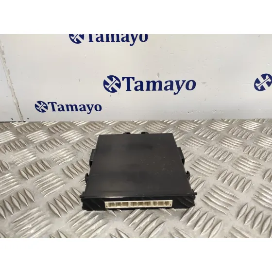 Modulo Electronico para Toyota Rav 4 V (_A5_, _H5_)
