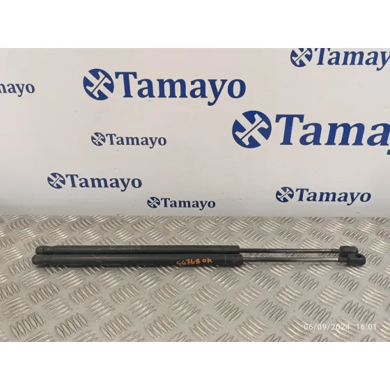 Amortiguadores Maletero / Porton para Toyota Corolla Verso (R1)