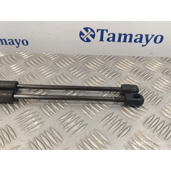 Amortiguadores Maletero / Porton para Toyota Corolla Verso (R1)