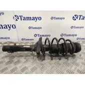 Amortiguador Delantero Izquierdo para Seat Toledo (1M2)