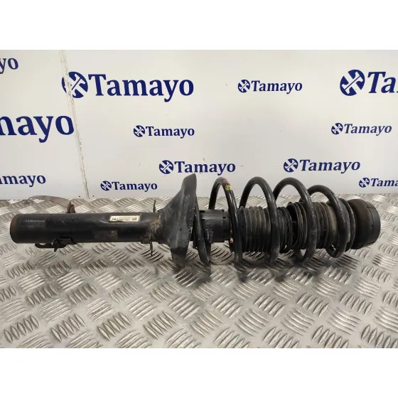 Amortiguador Delantero Izquierdo para Seat Toledo (1M2)