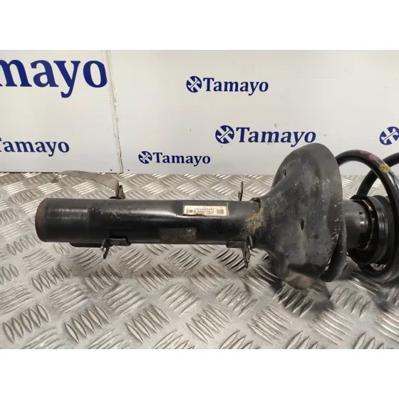 Amortiguador Delantero Izquierdo para Seat Toledo (1M2)
